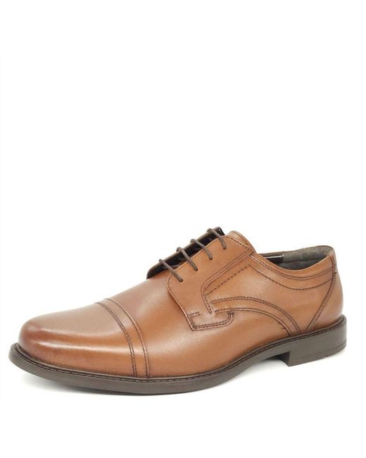 Oaktrak Brown Charles Leather Lace Up Shoes for men