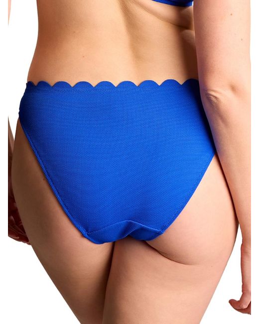 Panache Blue Spirit Classic Bikini Brief