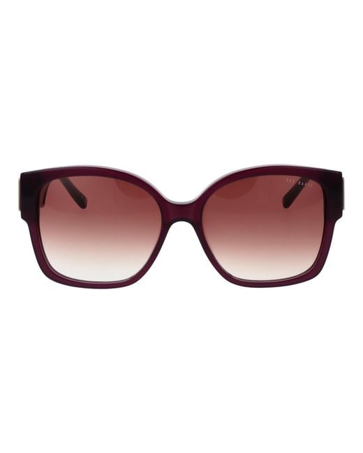 Ted Baker Brown Purple Acetate Sunglasses