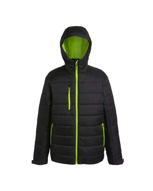 Regatta Green Navigate Thermal Padded Jacket /Lime) for men