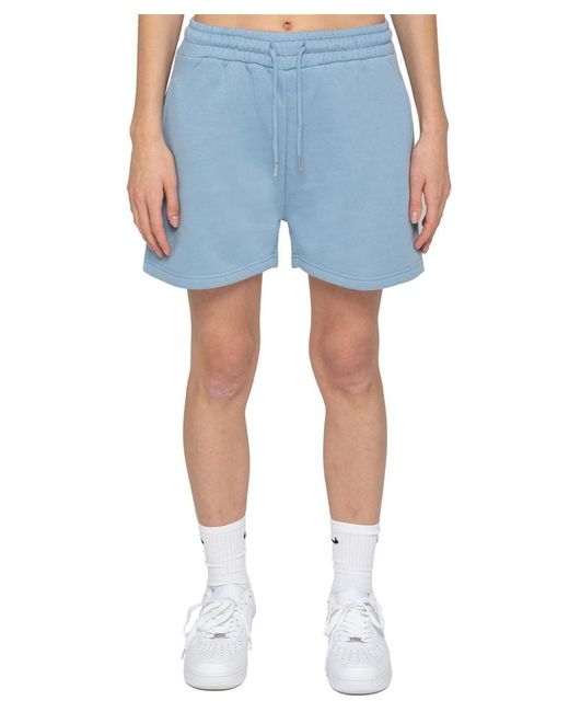 Enzo Blue Sweat Shorts