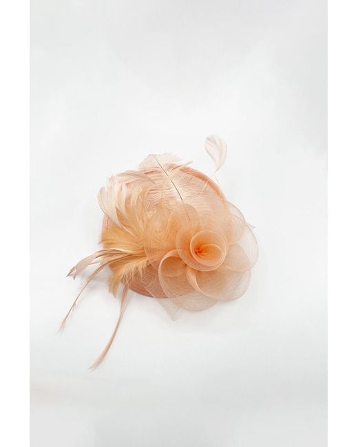 SVNX Pink Feather & Swirl Flower Disc Fascinator