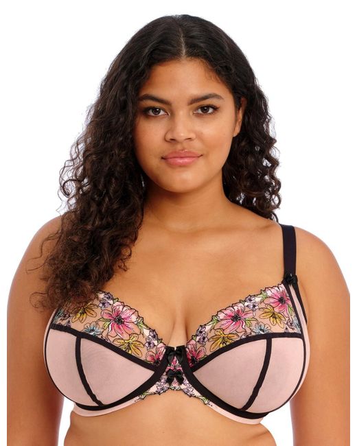 Elomi Pink Carrie Plunge Bra