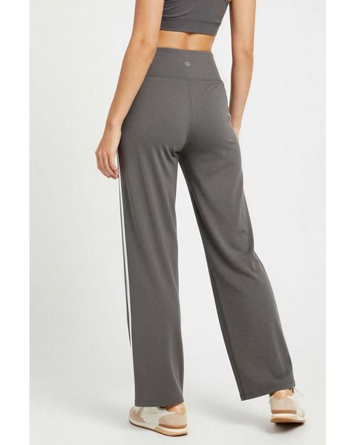 Secret Label Gray Cotton Side Stripe Joggers