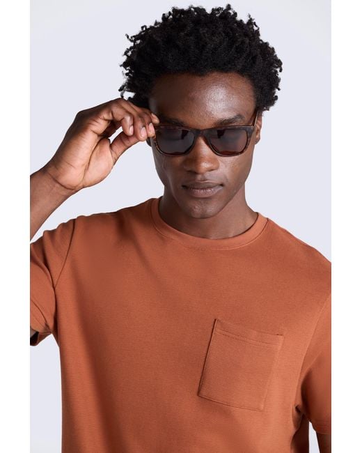 Mountain Warehouse Brown 'Hazel' Polarized Sunglasses Uv400 Protection Matte Frame Summer Eyewear