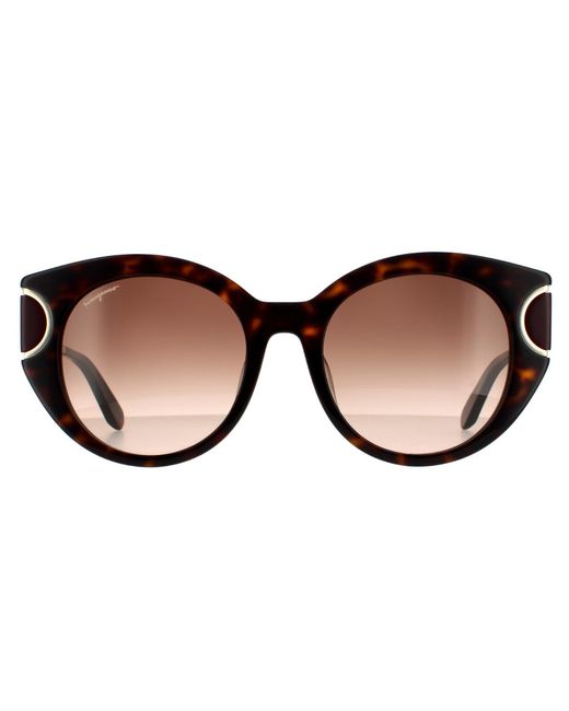 Ferragamo Brown Cat Eye Tortoise Gradient 90041091