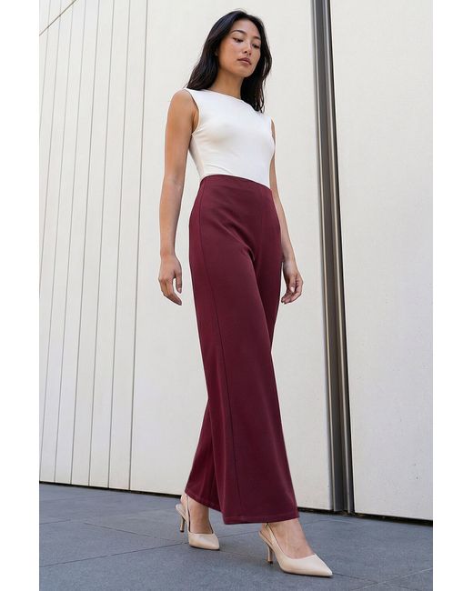 Roman Red Petite Wide Leg Stretch Trouser
