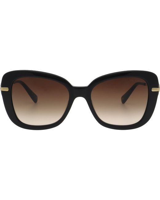 Ted Baker Brown Gabriella Sunglasses for men