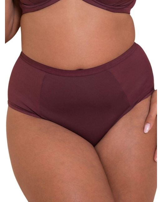 Curvy Kate Purple Wonderfully Short