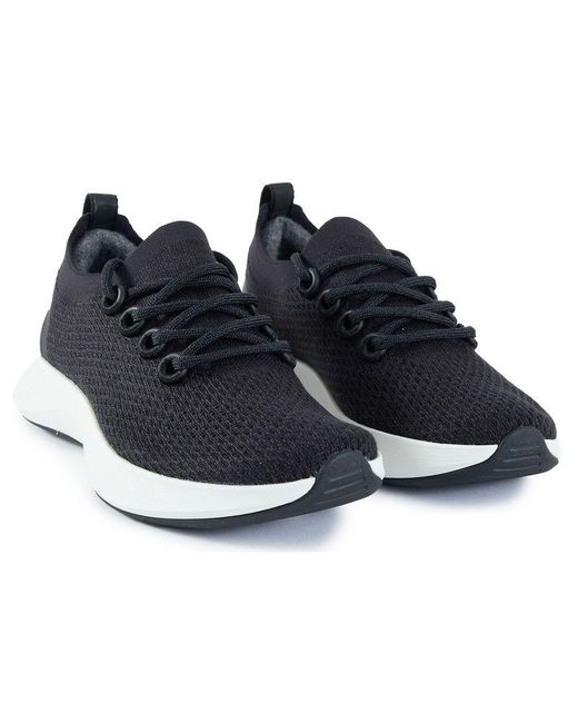 ALLBIRDS Blue Dasher Nz Trainers
