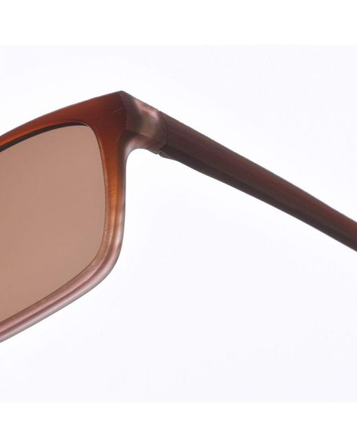 Zen Brown Z401 Square Shape Acetate Sunglasses