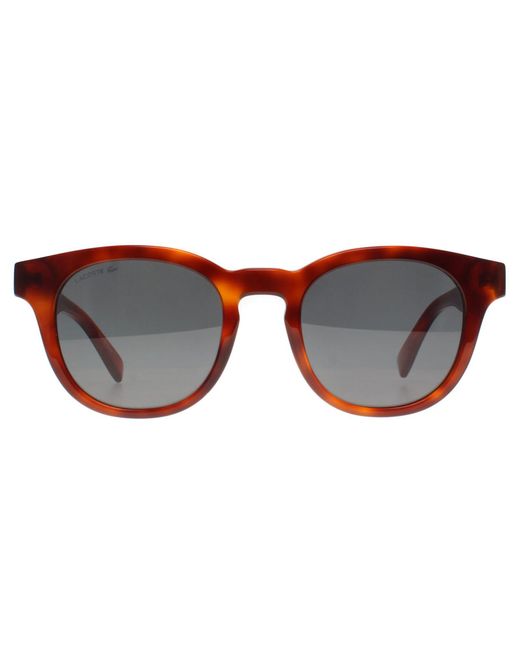 Lacoste Brown Round Blonde Havana Smoke L6006S for men