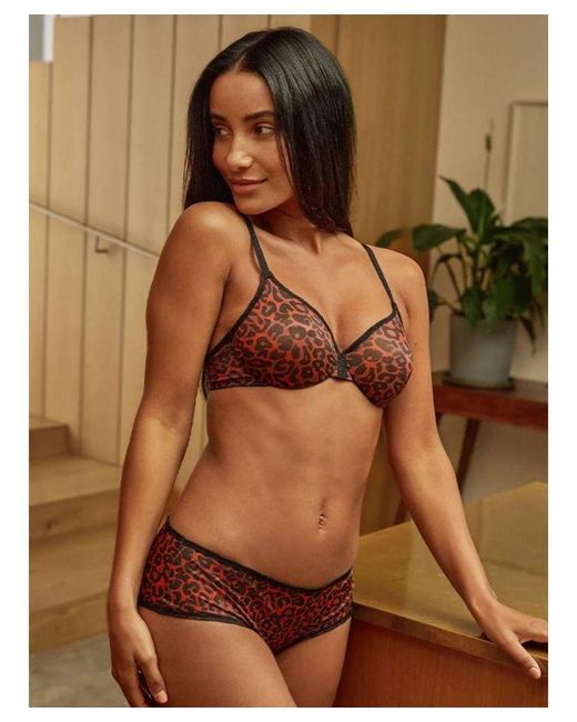Gossard Brown Glossies Sheer Plunge Bra