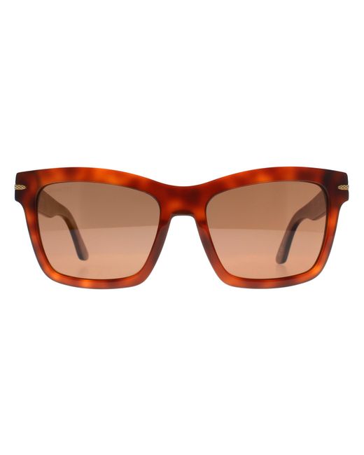 Serengeti Brown Square Shiny Classic Havana Mineral Polarized Drivers Winona