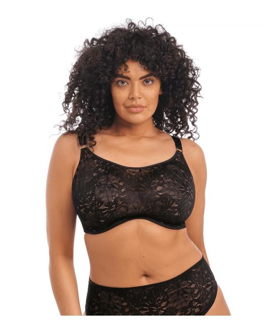 Elomi Black Kelsey Bralette Bra
