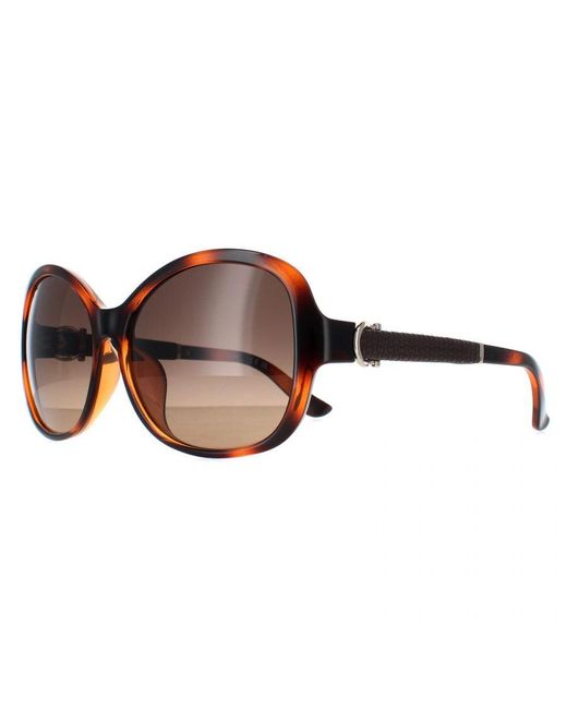 Ferragamo Brown Butterfly Tortoise Gradient Sf744Sla