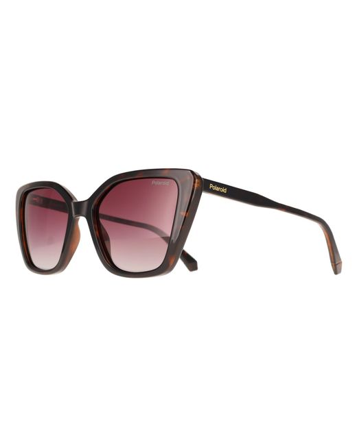 Polaroid Brown Cat Eye Havana Burgundy Gradient Polarized Pld 4189/S