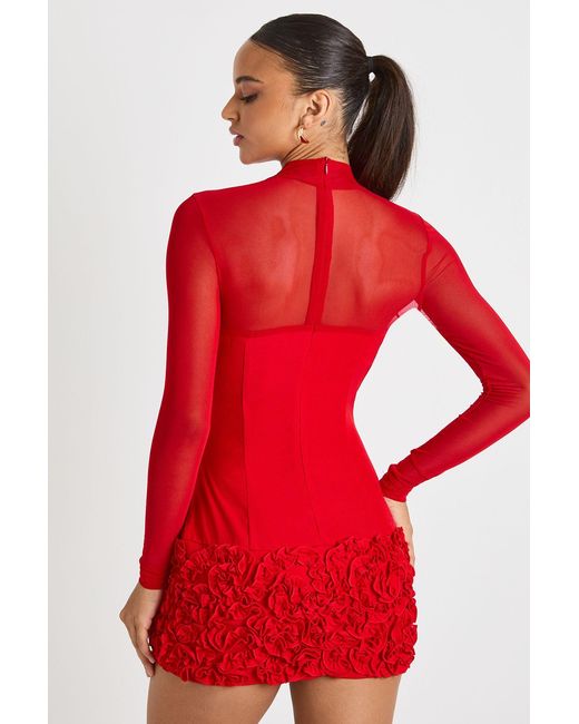 Boohoo Red 3D Floral Mesh Panelled Mini Dress