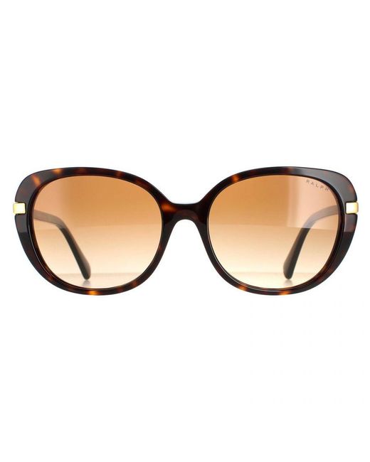 Ralph Lauren Brown By Butterfly Shiny Dark Havana Gradient Sunglasses for men