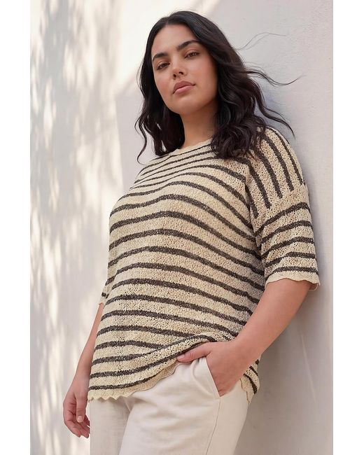 Roman Natural Curve Scallop Hem Stripe Knit