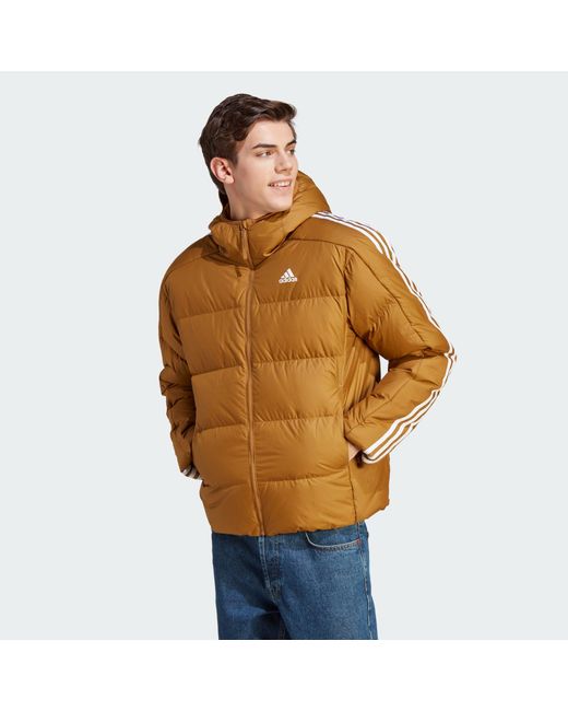 Adidas Orange Essentials Midweight Down Hooded Jacket for men