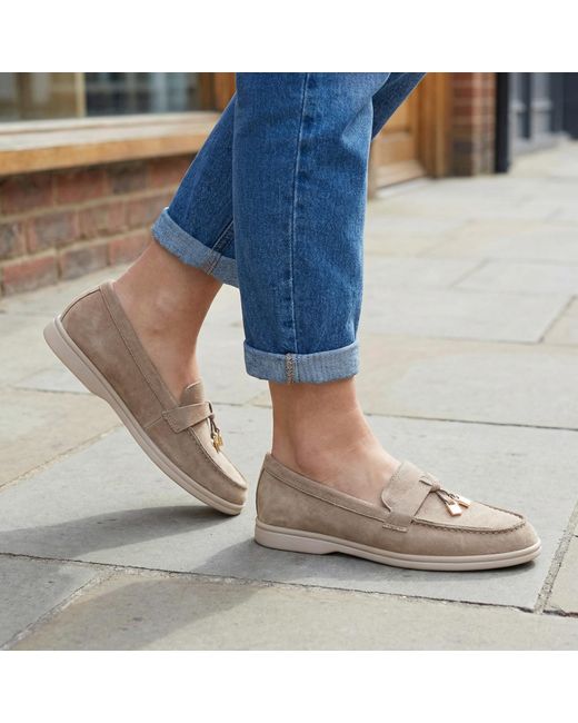 Wynsors Blue Flat Loafer Shoes Panther Slip On Taupe