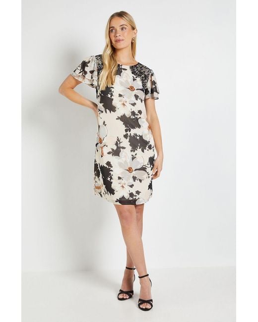 Wallis White Petite Lace Ruffle Sleeve Shift Dress