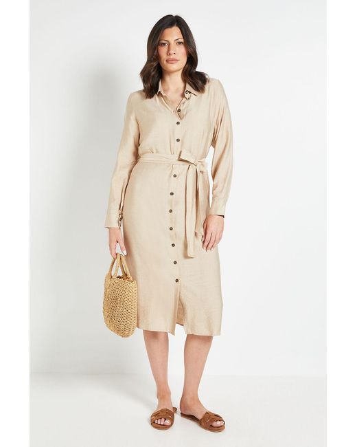 Wallis Natural Collared Button Through Shirt Dress