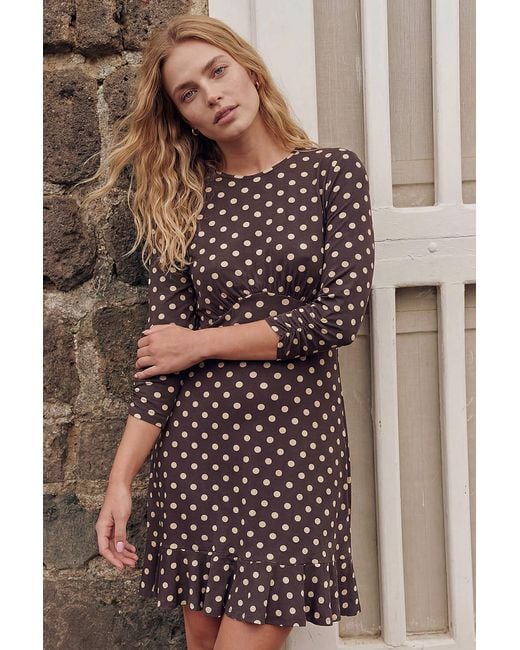 Roman Brown Polka Dot Frill Dress