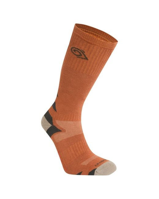 Craghoppers Brown Adult Adventure Insect Repellent Boot Socks Beach/ Pepper)