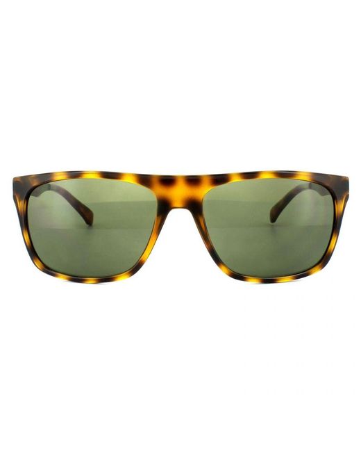 Calvin Klein Green Square Warm Tortoise Sunglasses for men