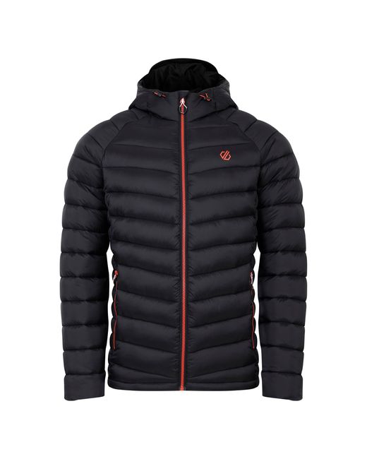 Dare 2b Black Torrek Mountain Baffled Padded Jacket for men
