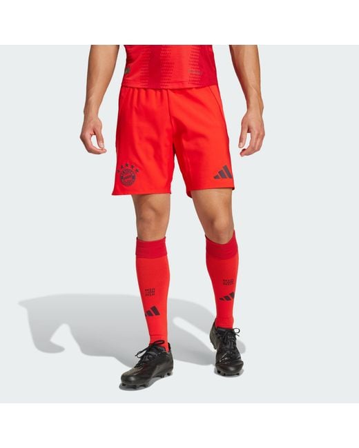 Adidas Originals Red Fc Bayern 24/25 Home Authentic Shorts for men