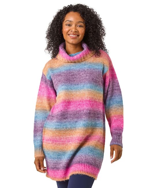 Roman Multicolor Petite Spacedye Stripe Roll Neck Jumper