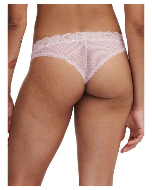 Passionata Brown Brooklyn Tanga Brief