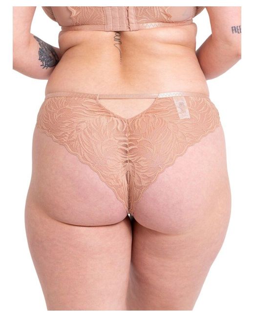 Curvy Kate Pink Lace Daze Brazilian