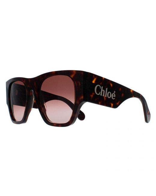Chloé Brown Oversized Square Gradient Sunglasses