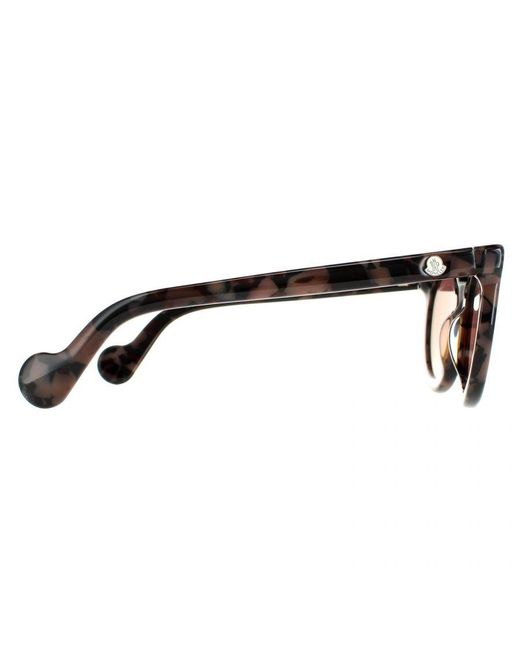 Moncler Brown Round Coloured Havana Bordeaux Mirror Ml0015