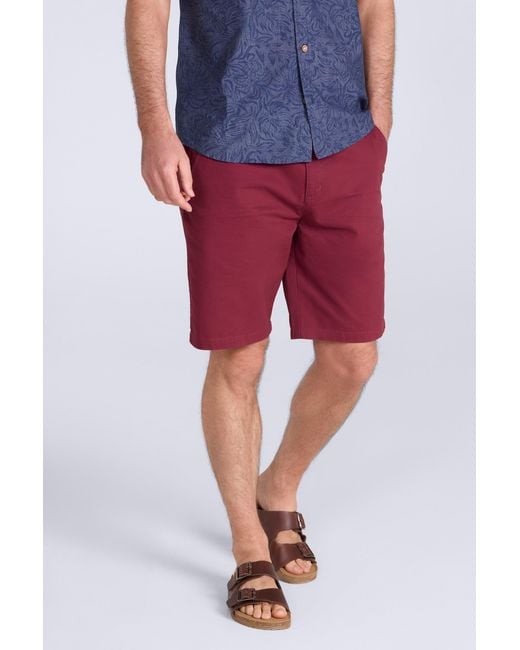 Mountain Warehouse Red 'Woods' Chino Shorts Breathable Comfortable Regular Fit Cotton for men