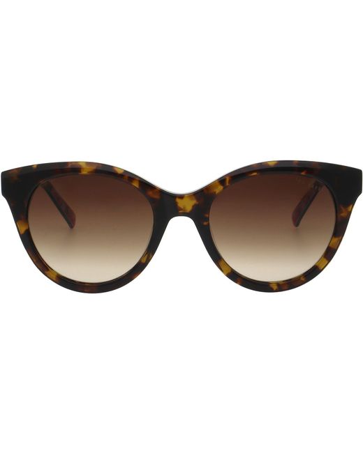 Ted Baker Brown Maja Sunglasses for men