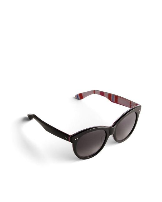 Ted Baker Brown Manhatn Printed Sunglasses