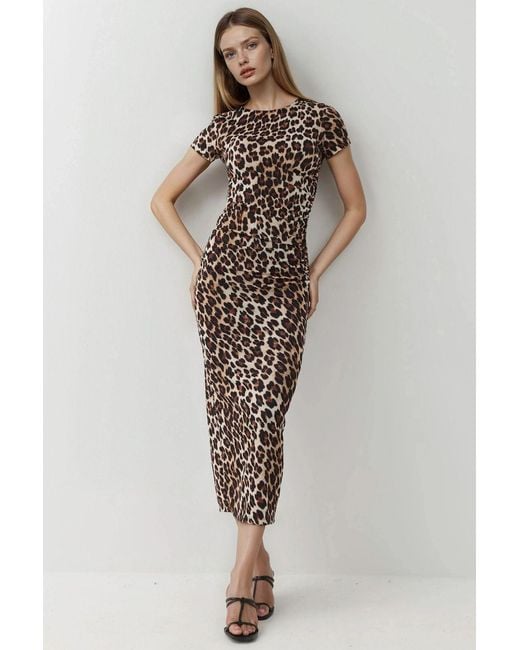 Hiccup Leopardprint Aansluitend Maxidress in het Multicolor