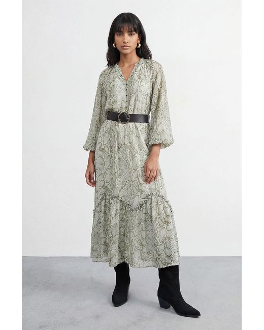 Warehouse Multicolor Petite Snake Print Ruffle Detail Belted Maxi Dress