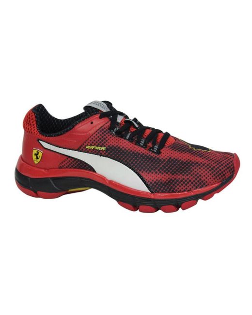 Ferrari top shoes runners