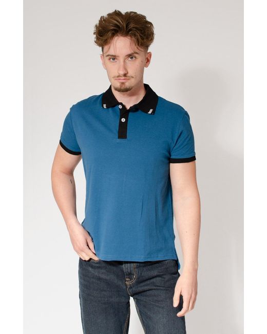 Secret Label Blue Contrast Collar Polo Shirt for men