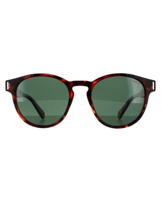 Polaroid Green Round Dark Havana Polarized Sunglasses