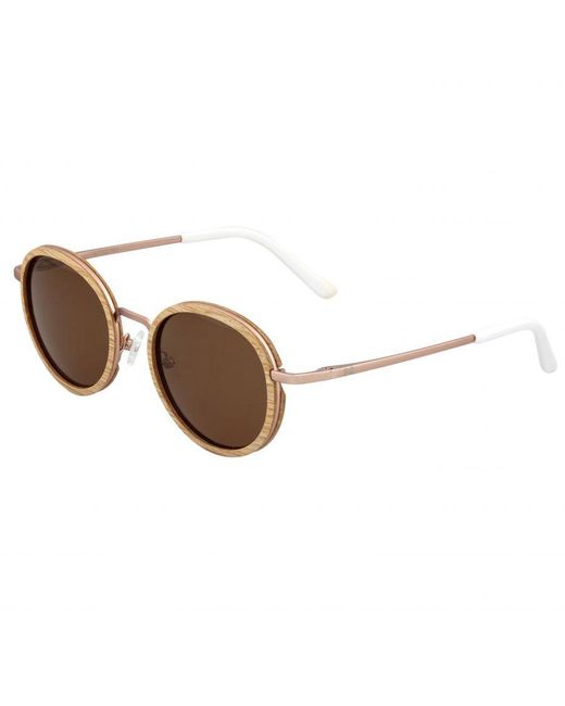 Earth Wood Brown Himara Polarized Sunglasses
