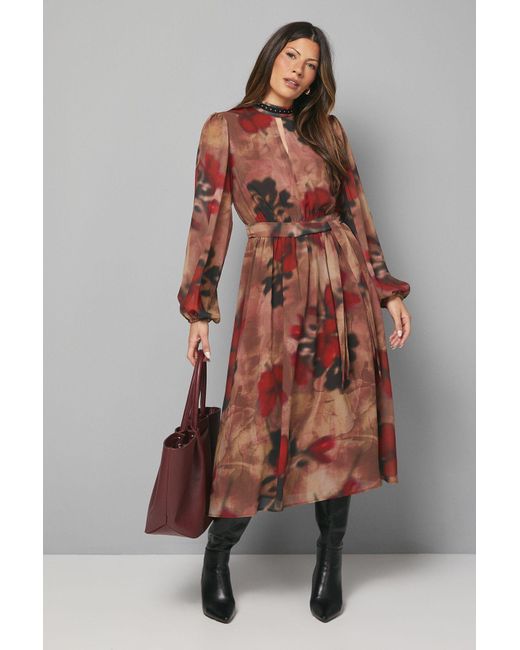 Wallis Black Floral Stud Trim Midi Dress