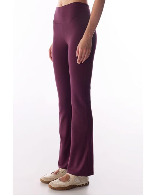 Penti Purple Flared Leggings