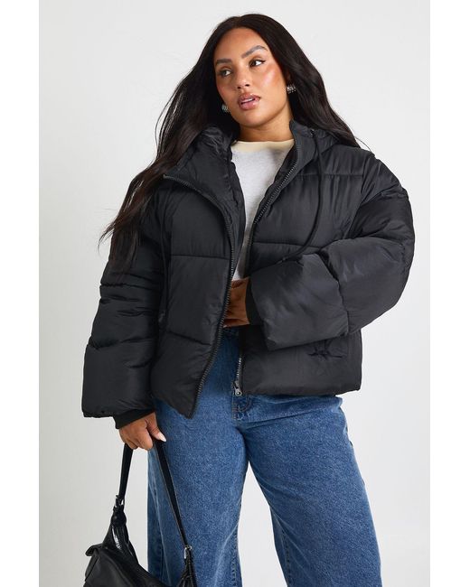 Boohoo Blue Plus Hooded Padded Puffer Jacket